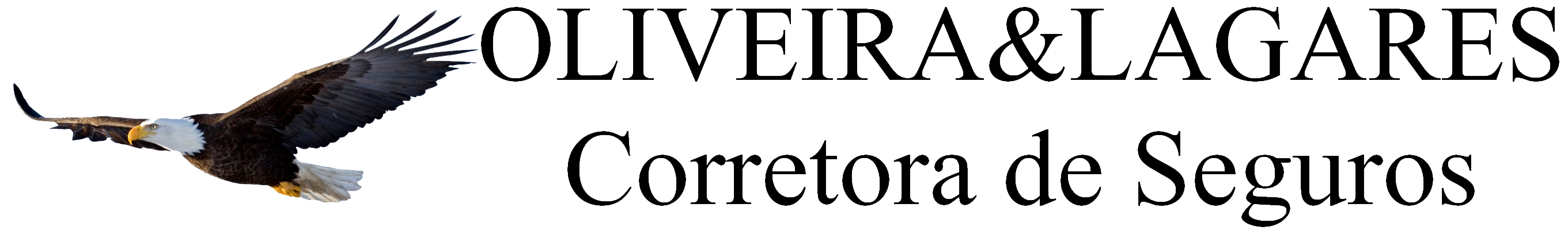 logo_transp